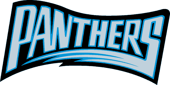 Carolina Panthers 1995 Wordmark Logo iron on transfers for clothing